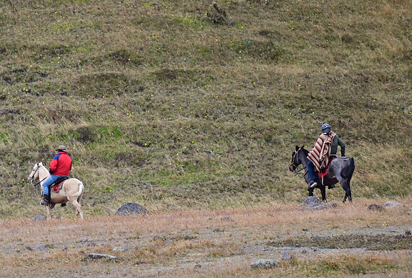 DSC_4737_02