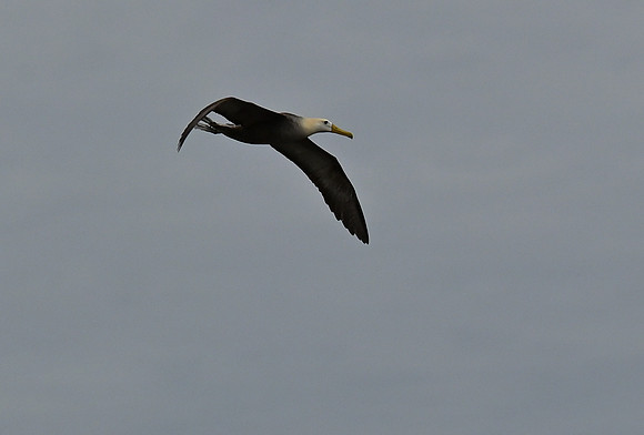 DSC_5015_01