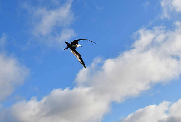 DSC_4077_01