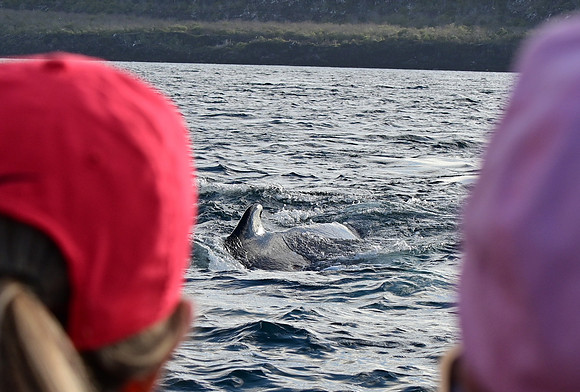 DSC_5607_01