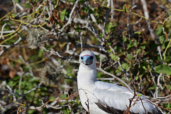 DSC_5637