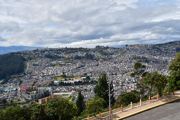 DSC_2567