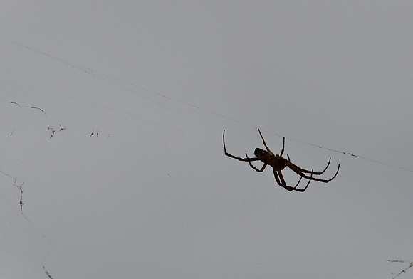 DSC_5323_01