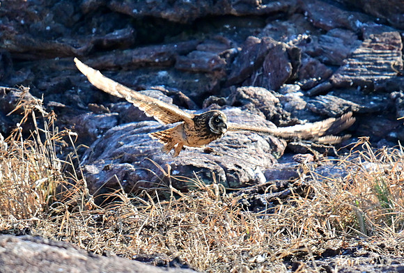 DSC_5680_01