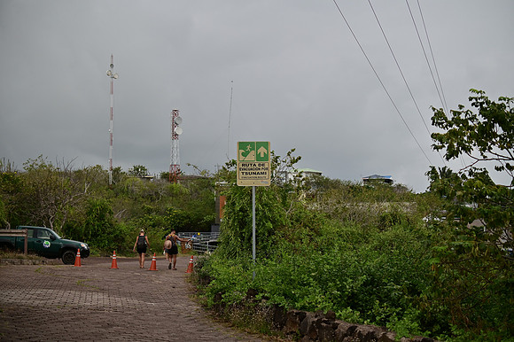 DSC_4787