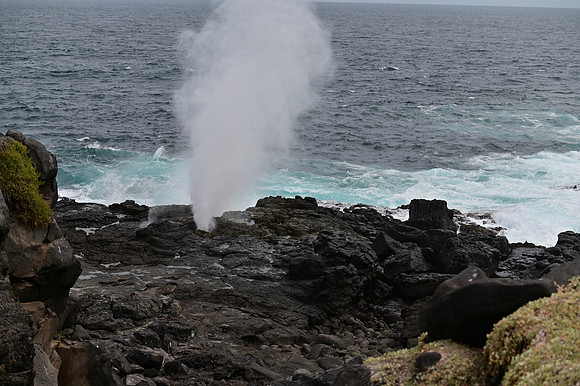 DSC_5078