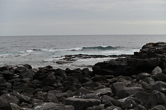 DSC_5021