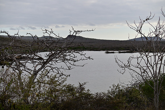 DSC_5165