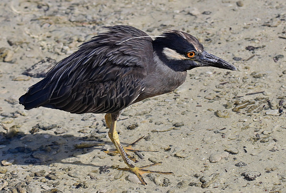 DSC_5746_01