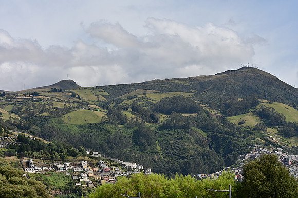 DSC_4498