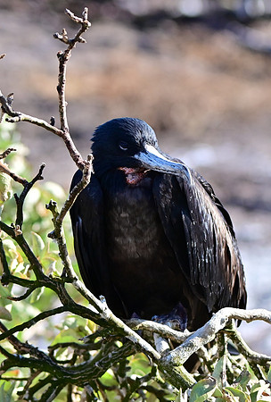 DSC_5702_01