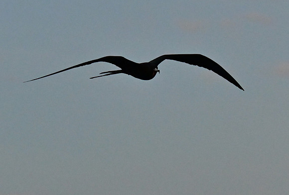 DSC_4832_01