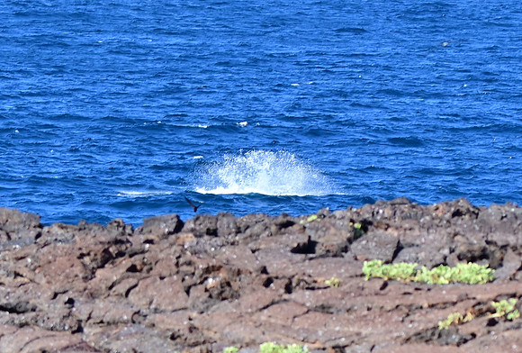DSC_5660_01