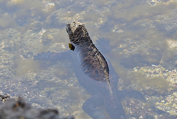 DSC_5281_01