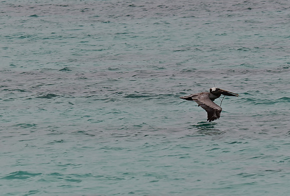DSC_4896_01