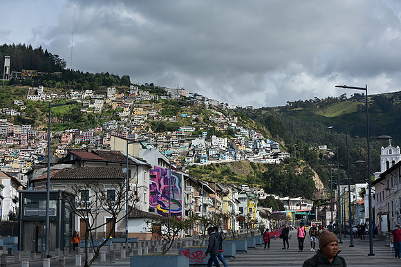 DSC_4489