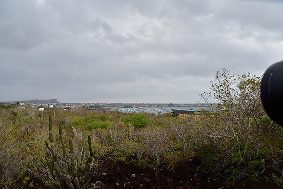 DSC_3251