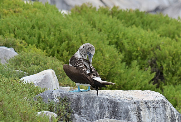 DSC_4970_01