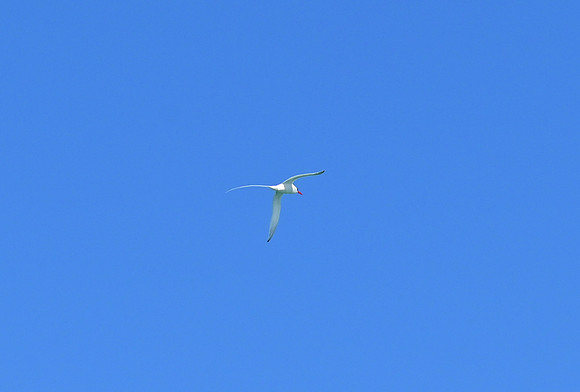 DSC_5715_01