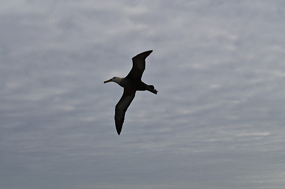 DSC_5066