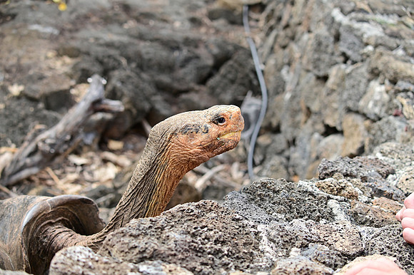 DSC_5437