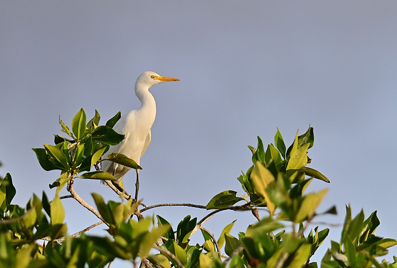 DSC_5572_01