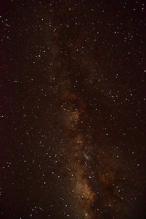 DSC_3864_01