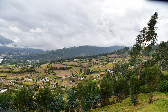 DSC_3120