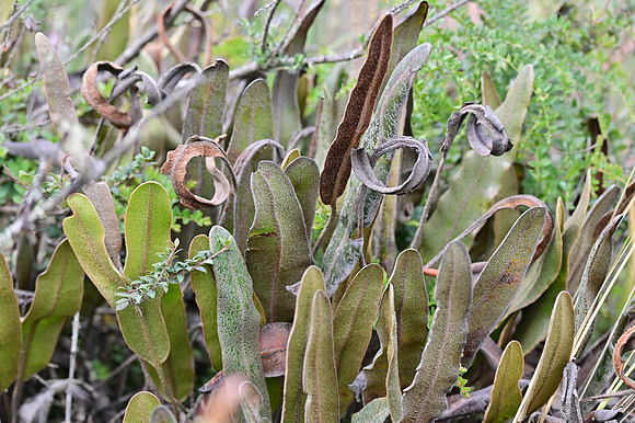 DSC_4592