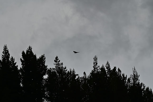 DSC_4598