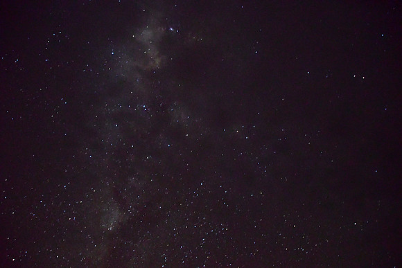 DSC_3887_01