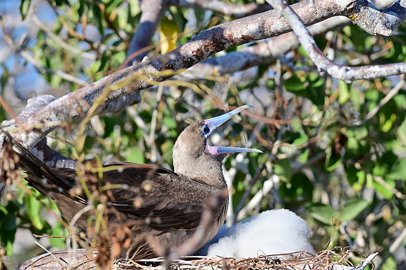 DSC_5642