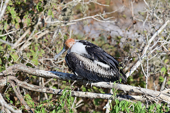 DSC_5631