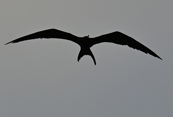 DSC_4797_01