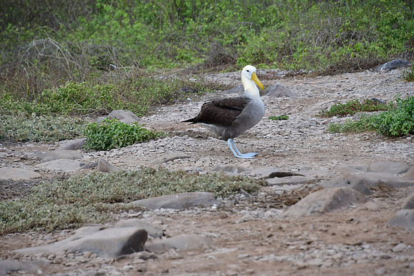 DSC_3466
