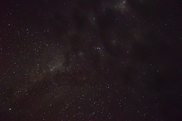 DSC_3895_01
