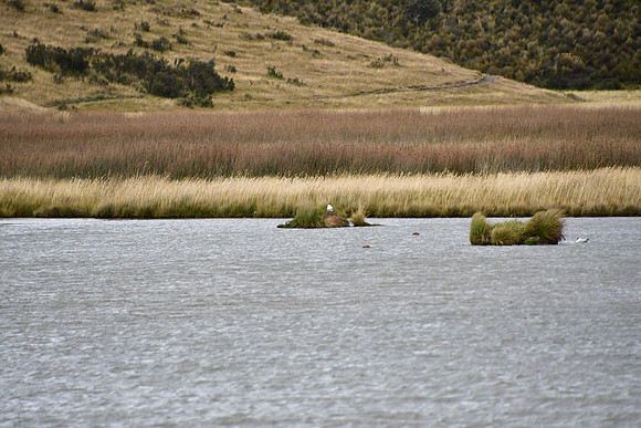 DSC_2961