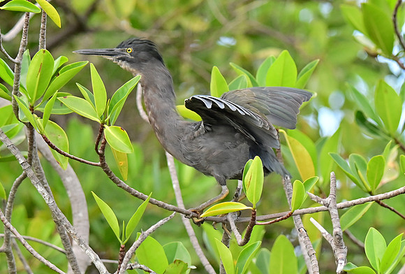 DSC_5532_01