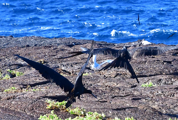 DSC_4117_01