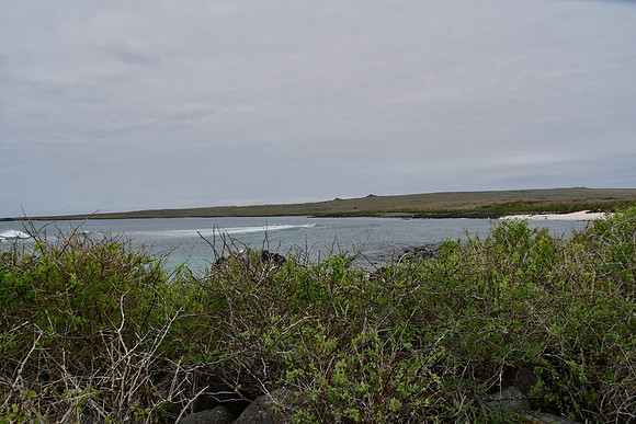 DSC_3377
