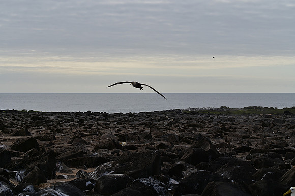 DSC_5064