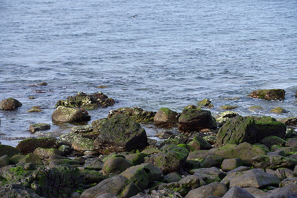 DSC_3557