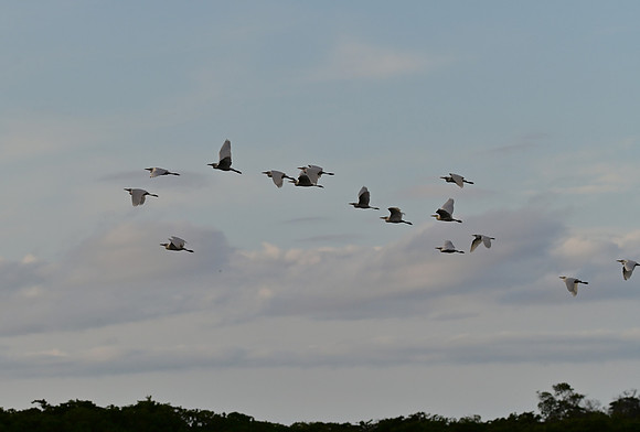 DSC_5562_01