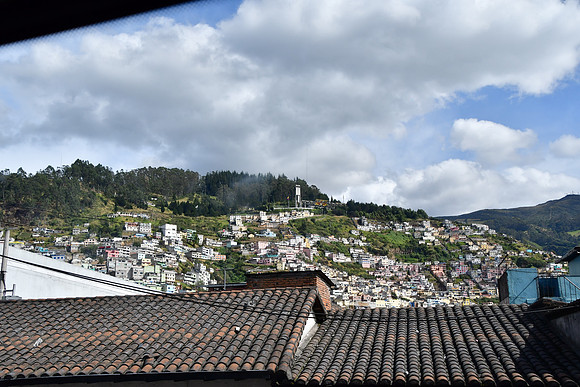 DSC_2535