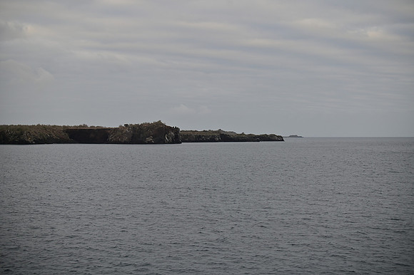 DSC_4865
