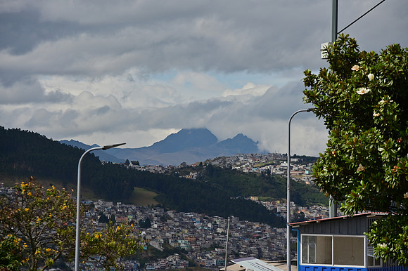 DSC_4507