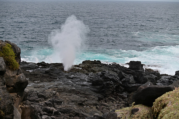 DSC_5077