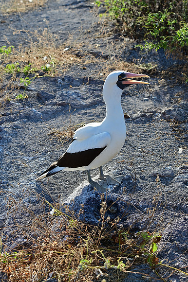 DSC_5619
