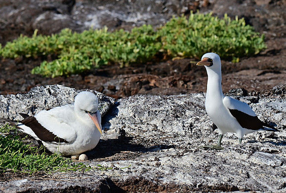 DSC_5692_01