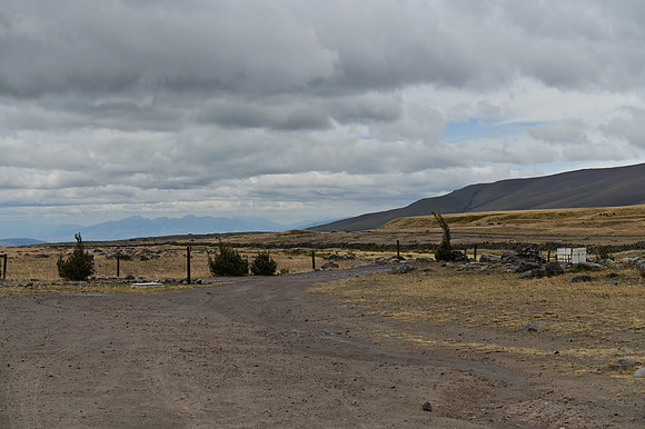DSC_4720